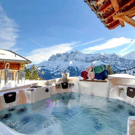 Alpine Chic Jacuzzi Sauna *