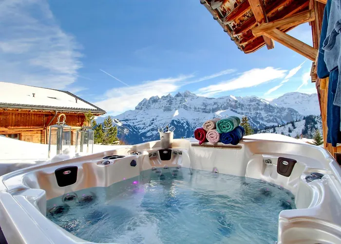 Alpine Chic Jaccuzi Sauna *